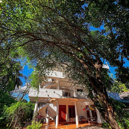 Pleasure Island Holiday Home Dambulla Εξωτερικό φωτογραφία